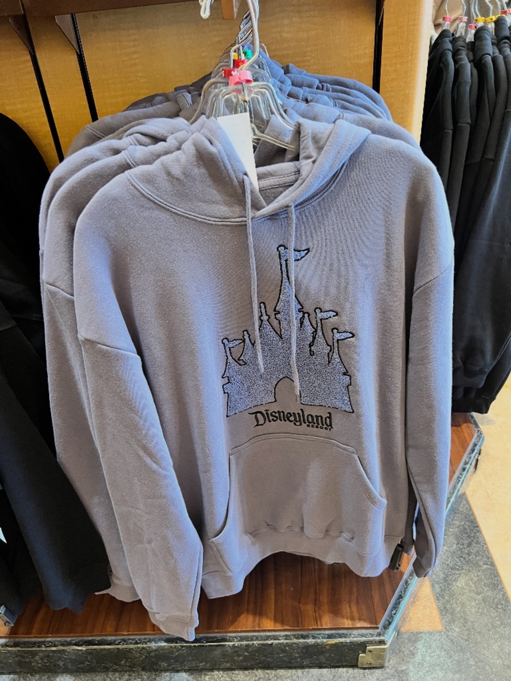 Disneyland 2025 Chenille Embroidered Castle Hoodie Sweatshirt